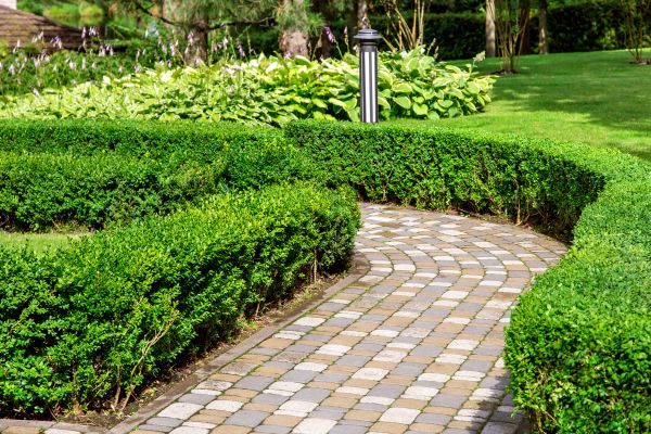 Paved Landscaping in Torrance