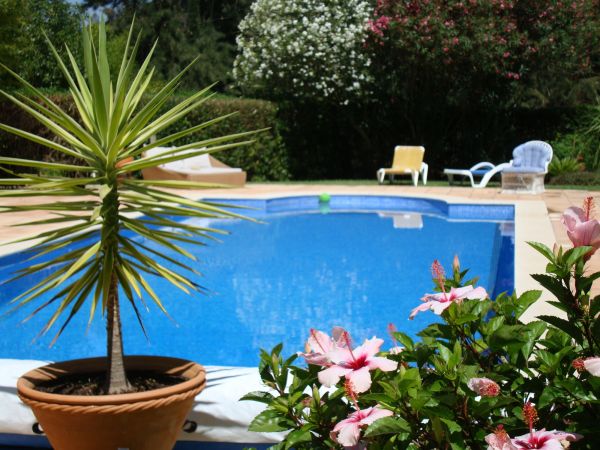Pool Terrace Renovation in Torrance